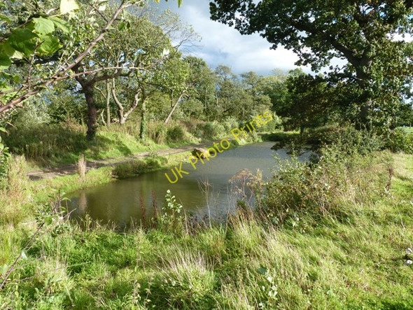 Photo 6"x4" Small pool south of Smiths Green Smiths Green c2010