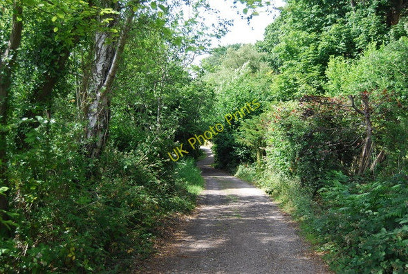 Photo 6"x4" Footpath to The Avenue Haslemere c2010