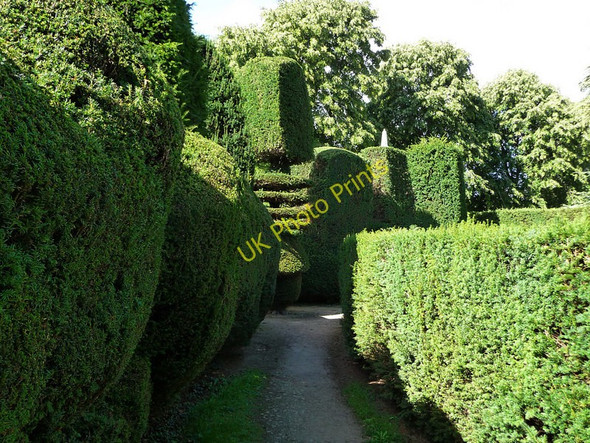Photo 6"x4" Garden of Montacute House East Stoke\/ST4817 c2010