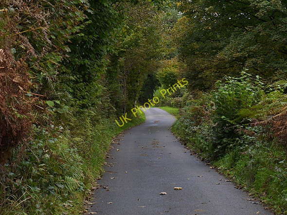 Photo 6"x4" Minor road past Ty-newydd Ffarmers c2010
