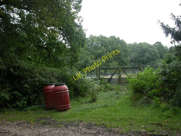 Photo 6"x4" Hamptworth, bird food drums Bohemia\/SU2019 c2010