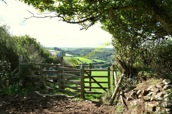 Photo 6"x4" A view from the kissing gate near Pines Dean Boode c2010