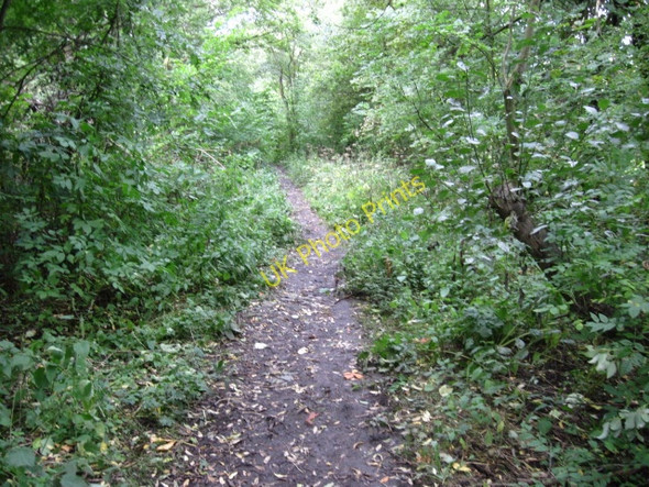 Photo 6"x4" Footpath from Garden Village, Stocksbridge Stocksbridge c2010