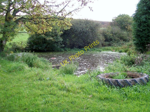 Photo 6"x4" Llyn Corddi, Plas ym Mhenllech Penllech\/SH2234 c2010