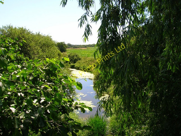 Photo 6"x4" River Cuckmere Arlington\/TQ5407 c2006
