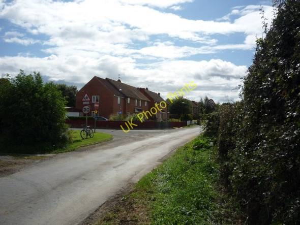 Photo 6"x4" Linton Woods Linton-on-Ouse c2010