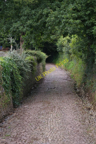Photo 6"x4" Laugharne: lane by churchyard Glan-y-m\u00f4r\/SN3011 c2010