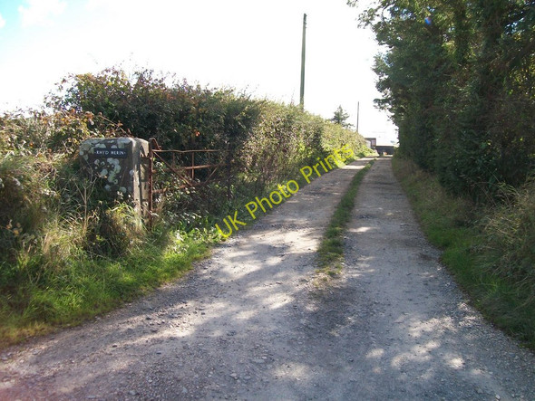 Photo 6"x4" Access road to Rhyd Merin farm Rhydlios c2010