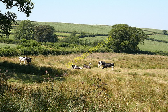 Photo 6"x4" Okehampton Hamlets: by Dry Lane Meldon\/SX5592 c2006