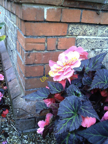 Photo 6"x4" Benchmark on #32 Prince of Wales Road Dorchester\/SY6890 c2010