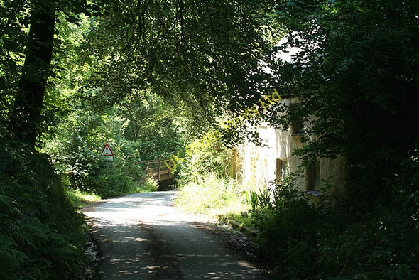 Photo 6"x4" Inwardleigh: Toad Island Okehampton c2006
