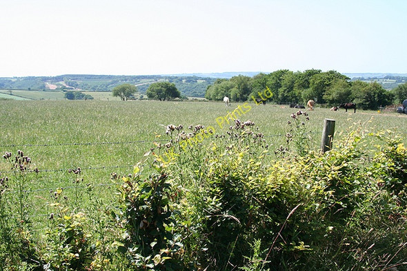 Photo 6"x4" Inwardleigh: by Great Widefield Padson c2006