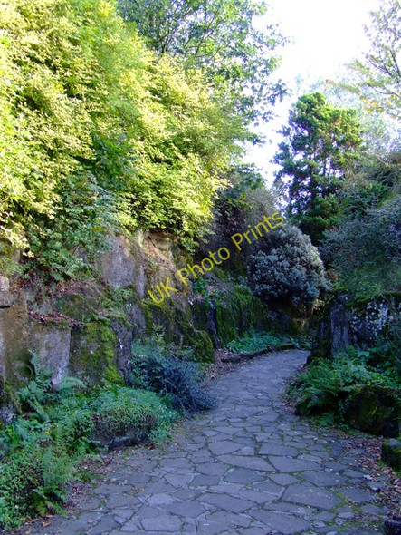 Photo 6"x4" The Fossil Grove Jordonhill c2010 P1