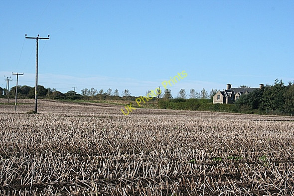Photo 6"x4" Field at Surradale Quarrywood c2010