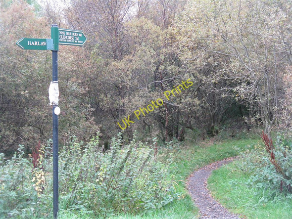 Photo 6"x4" The path to Nine Mile Burn, Glencorse, or Harlaw Malleny Mills c2010
