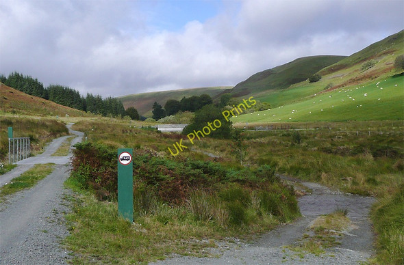 Photo 6"x4" Track and ford north of Dolgoch, Ceredigion Nant-ystalwyn c2010