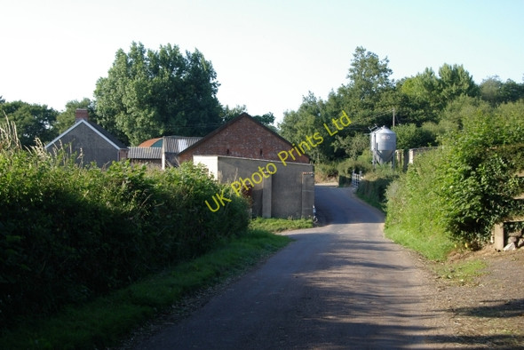 Photo 6"x4" Higher Rill Farm, Ottery St Mary Ottery St Mary c2006