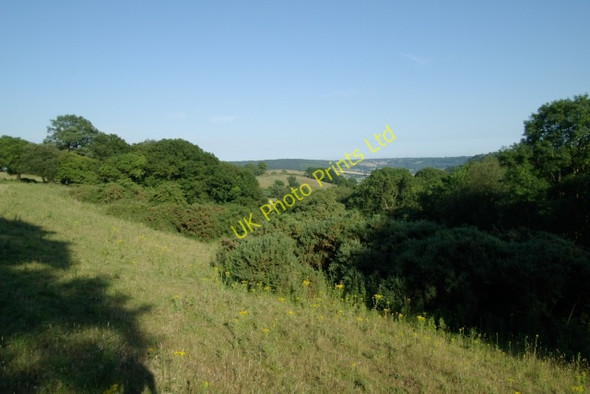 Photo 6"x4" Bald Hill, near Ottery St Mary Sidbury\/SY1391 c2006