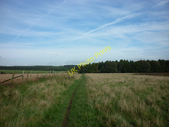 Photo 6"x4" Heading towards Goodrick Plantation Eccup c2010