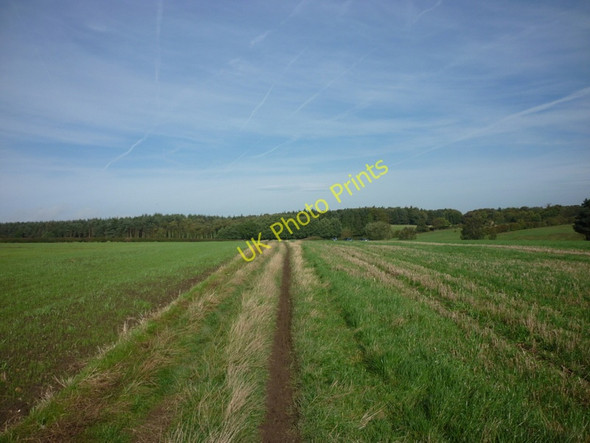 Photo 6"x4" Walking Towards Eccup Moor Road Eccup c2010