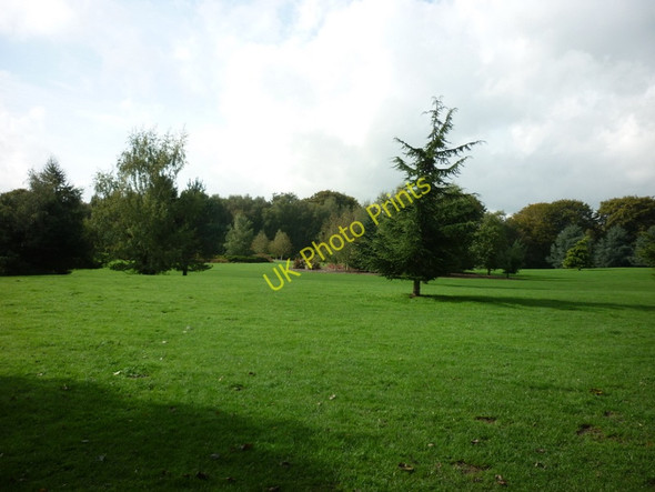 Photo 6"x4" Golden Acre Park Eccup c2010