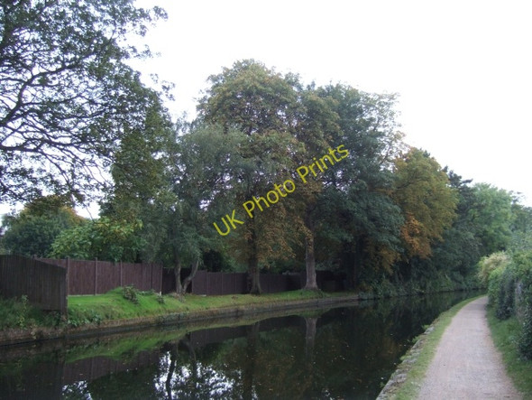 Photo 6"x4" Autumn colour by the Worcester and Birmingham canal. Chad Valley c2010