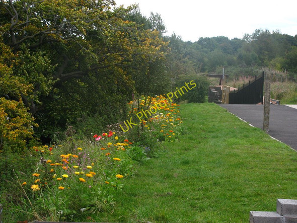Photo 6"x4" Railway Station Flowers Blaenavon c2010