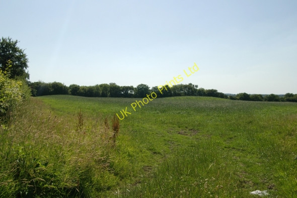 Photo 6"x4" Tumuli, Roncombe Corner Farway c2006