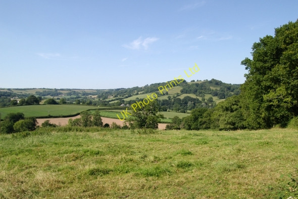 Photo 6"x4" Fields near Keepers Cottage, Farway Church Green\/SY1796 c2006