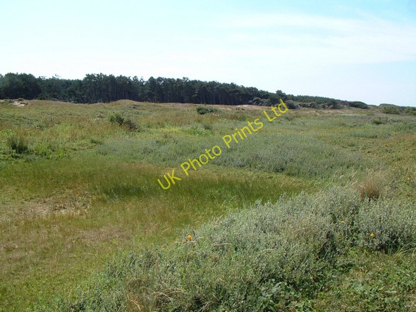 Photo 6"x4" Dry Dune Slack Ainsdale-on-Sea c2006