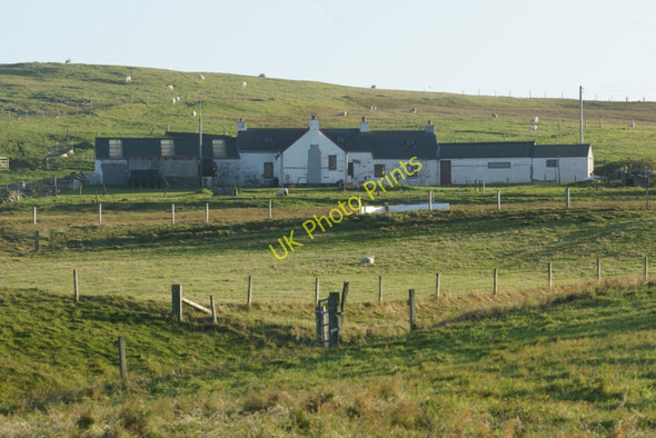 Photo 6"x4" Millfield, Norwick Kirkaton c2010