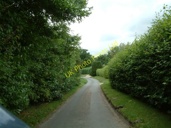 Photo 6"x4" Clipped Hedging Hook End\/SU6681 c2005