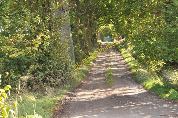 Photo 6"x4" Farm road to Balrobert Farm Lochardil c2010