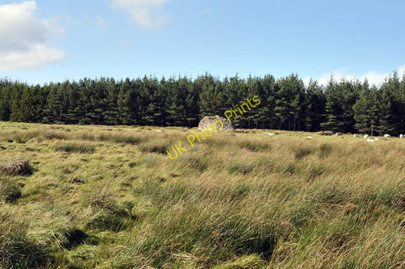 Photo 6"x4" Glacial erratic near Bunachton Clachindruim c2010