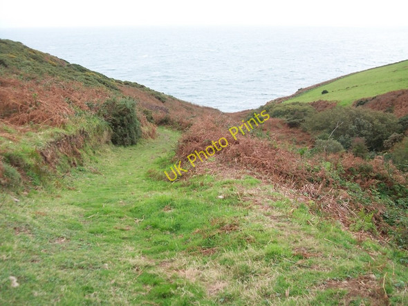 Photo 6"x4" Track leading down to Porth Muriau Mynydd Gilan c2010