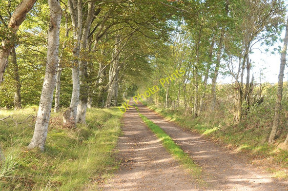 Photo 6"x4" Farm track near Orchardfield Newton\/NJ1663 c2010