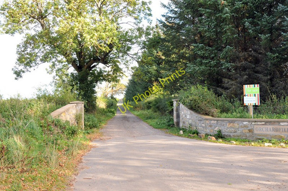 Photo 6"x4" Farm road to Orchardfield Newton\/NJ1663 c2010