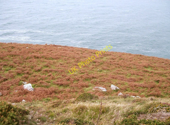 Photo 6"x4" Shelf above Trwyn y Ffosle Tai-morfa c2010