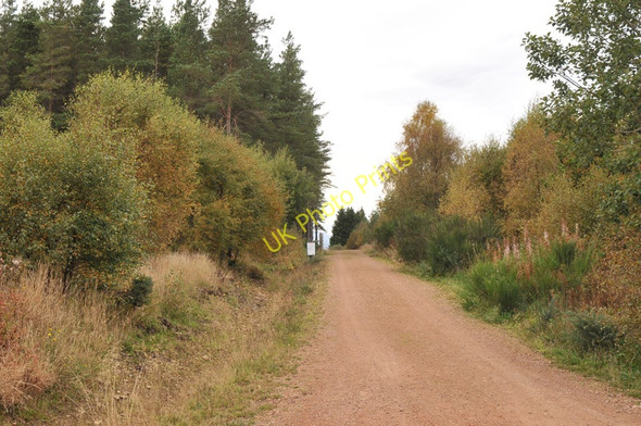 Photo 6"x4" Forestry road into Muirhead Wood Raddery c2010