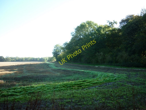 Photo 6"x4" Looking towards the Moors (woods) West Newton\/TA1937 c2010