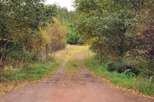 Photo 6"x4" Track into the forest near Flowerburn House Raddery c2010