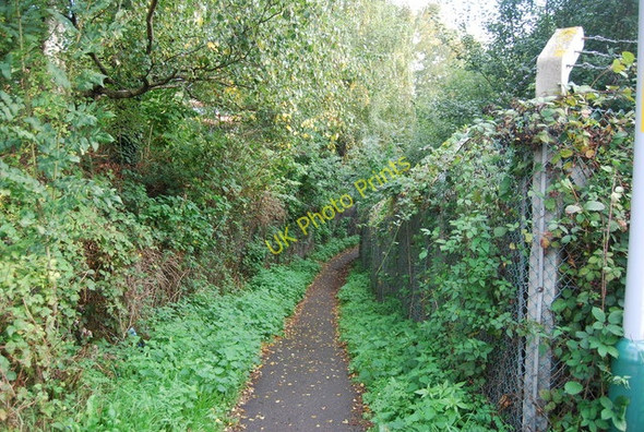 Photo 6"x4" Footpath off North Farm Rd Royal Tunbridge Wells c2010