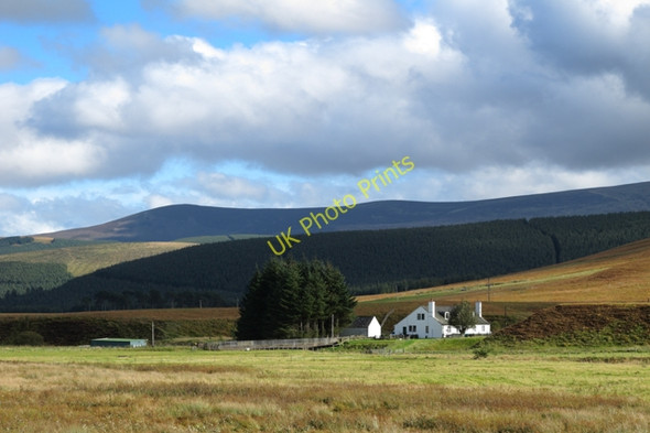 Photo 6"x4" Hawkshaw from the A701 Glenbreck c2010
