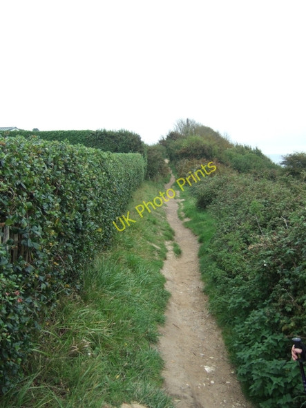 Photo 6"x4" Coastal path above Whitecliff Bay Hillway c2010 P1
