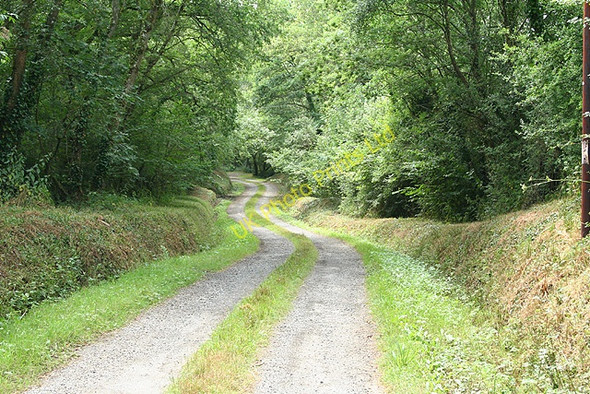 Photo 6"x4" South Tawton: access track to Powlesand Spreyton c2006
