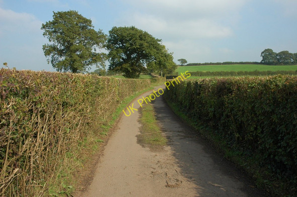 Photo 6"x4" Track near Pen-y-Clawdd Kingcoed c2010