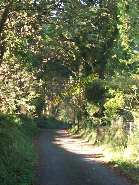 Photo 6"x4" Top of the descent on Lon 'Refail lane Llaniestyn c2010