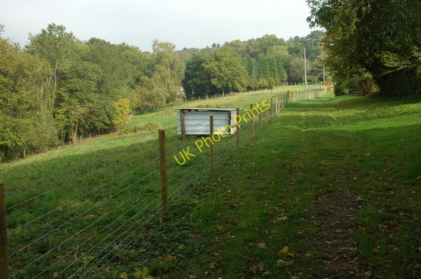 Photo 6"x4" Paddock beside Loysey Wood Cwmcarvan c2010
