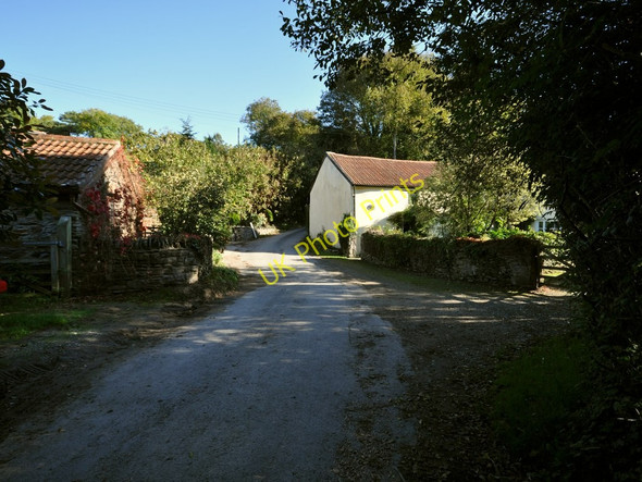 Photo 6"x4" Lower Winsham Knowle\/SS4938 c2010