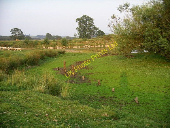 Photo 6"x4" River Annan at The Creels in drought 2 Lochmaben c2006